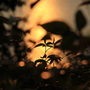 男生的🍌和女生的㊙️在一起
